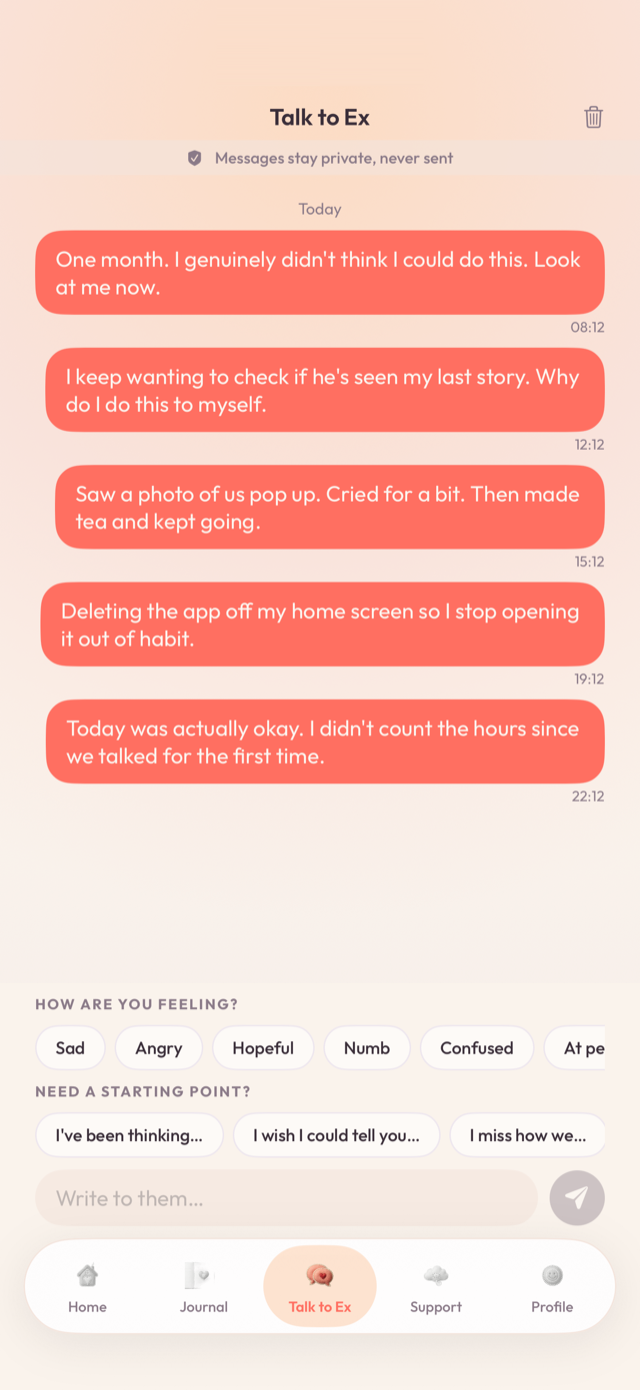Talk to Ex private chat where messages are never sent